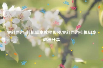 梦幻西游sf挂机脚本教程视频,梦幻西游挂机脚本教程分享