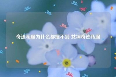 奇迹私服为什么都搜不到 女神奇迹私服