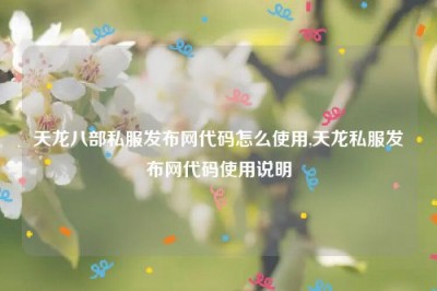 天龙八部私服发布网代码怎么使用,天龙私服发布网代码使用说明