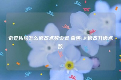 奇迹私服怎么修改点数设置 奇迹1.03修改升级点数