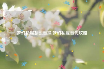 梦幻私服怎么替换,梦幻私服替代攻略