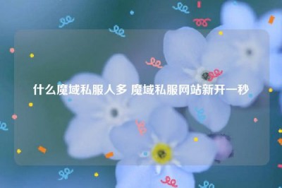 什么魔域私服人多 魔域私服网站新开一秒