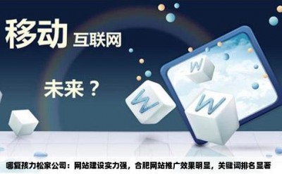 哪复孩力松家公司：网站建设实力强，合肥网站推广效果明显，关键词排名显著