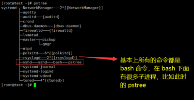 Linux中怎么查看进程树