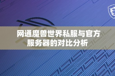 网通魔兽世界私服与官方服务器的对比分析