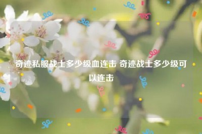 奇迹私服战士多少级血连击 奇迹战士多少级可以连击