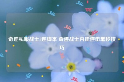 奇迹私服战士3连脚本 奇迹战士内挂连击毫秒技巧