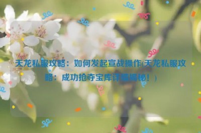 天龙私服攻略：如何发起宣战操作(天龙私服攻略：成功抢夺宝库详情揭秘！)