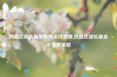 热血江湖私服发布网金钱清理,热血江湖私服金币整理策略