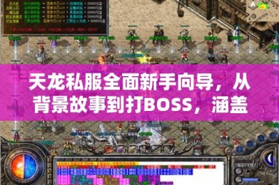 天龙私服全面新手向导，从背景故事到打BOSS，涵盖升级、技能、职业选择与日常活动攻略