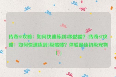 传奇SF攻略：如何快速练到3级骷髅？(传奇SF攻略：如何快速练到3级骷髅？体验最佳初级宠物！)