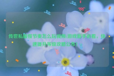 传世私服慢节奏怎么玩视频(游戏新手必看，快速提升等级攻略公布！)