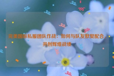 完美国际私服团队作战：如何与队友默契配合，共创辉煌战绩