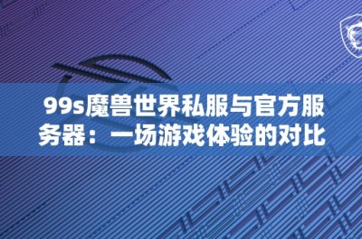 99s魔兽世界私服与官方服务器：一场游戏体验的对比