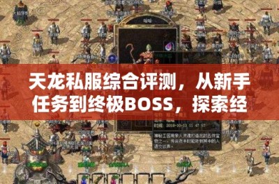 天龙私服综合评测，从新手任务到终极BOSS，探索经典武侠世界的无限魅力