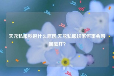 天龙私服秒退什么原因,天龙私服玩家何事会瞬间离开？