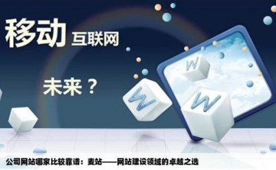 公司网站哪家比较靠谱：麦站——网站建设领域的卓越之选