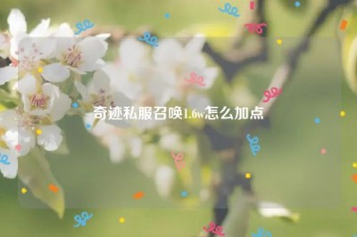 奇迹私服召唤1.6w怎么加点