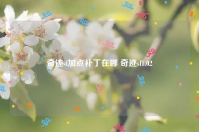 奇迹sf加点补丁在哪 奇迹sf1.02