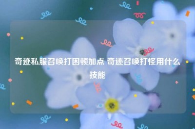 奇迹私服召唤打困顿加点 奇迹召唤打怪用什么技能