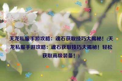 天龙私服手游攻略：魂石获取技巧大揭秘！(天龙私服手游攻略：魂石获取技巧大揭秘！轻松获取高级装备！)