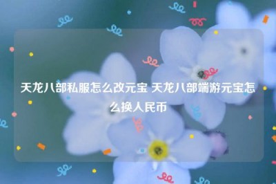 天龙八部私服怎么改元宝 天龙八部端游元宝怎么换人民币