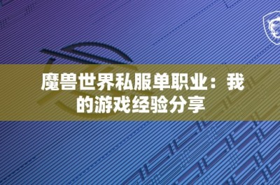 魔兽世界私服单职业：我的游戏经验分享