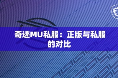 奇迹MU私服：正版与私服的对比