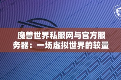 魔兽世界私服网与官方服务器：一场虚拟世界的较量