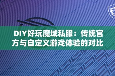 DIY好玩魔域私服：传统官方与自定义游戏体验的对比