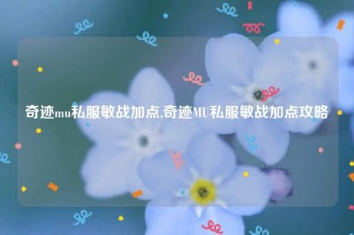 奇迹mu私服敏战加点,奇迹MU私服敏战加点攻略