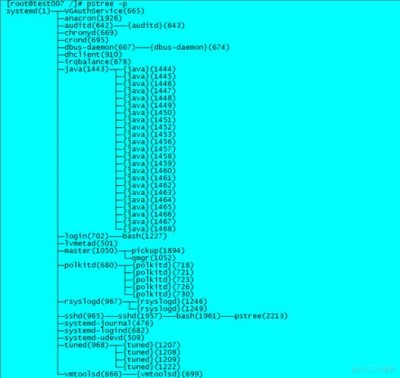 linux中pstree命令的作用是什么