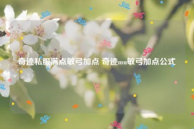 奇迹私服满点敏弓加点 奇迹mu敏弓加点公式