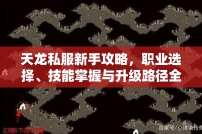 天龙私服新手攻略，职业选择、技能掌握与升级路径全面解析