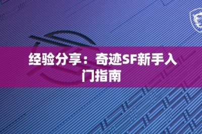 经验分享：奇迹SF新手入门指南