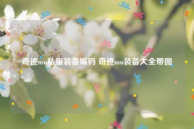 奇迹mu私服装备编码 奇迹mu装备大全带图