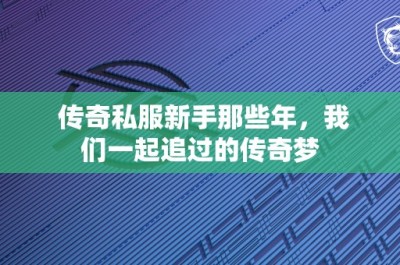 传奇私服新手那些年，我们一起追过的传奇梦