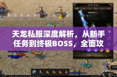 天龙私服深度解析，从新手任务到终极BOSS，全面攻略与游戏评测