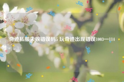 奇迹私服失败错误码5 玩奇迹出现错误1003—114