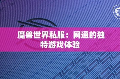 魔兽世界私服：网通的独特游戏体验