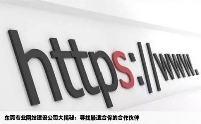 东莞专业网站建设公司大揭秘：寻找最适合你的合作伙伴