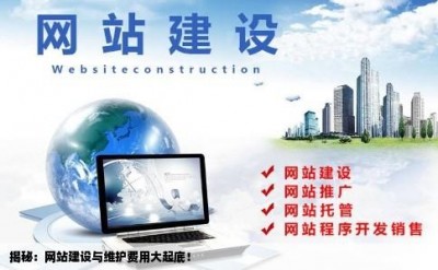 揭秘：网站建设与维护费用大起底！