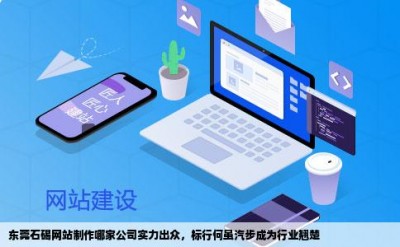 东莞石碣网站制作哪家公司实力出众，标行何虽汽步成为行业翘楚