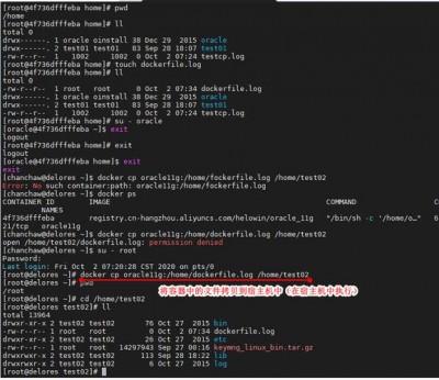 docker内的文件如何拷贝到外面