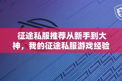 征途私服推荐从新手到大神，我的征途私服游戏经验分享