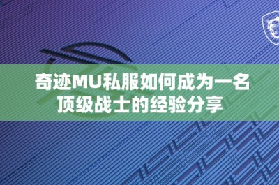 奇迹MU私服如何成为一名顶级战士的经验分享