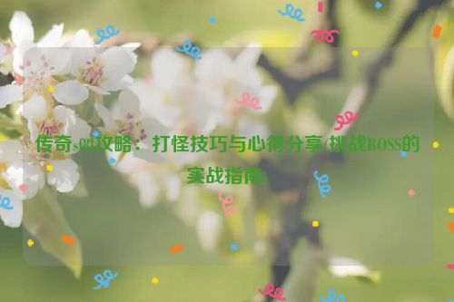 传奇sf8l攻略：打怪技巧与心得分享(挑战BOSS的实战指南)