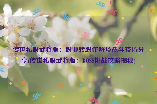 传世私服武将版：职业转职详解及战斗技巧分享(传世私服武将版：BOSS挑战攻略揭秘)