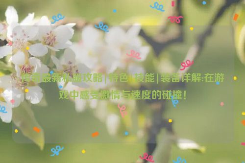 传奇最新私服攻略|特色|技能|装备详解:在游戏中感受激情与速度的碰撞！