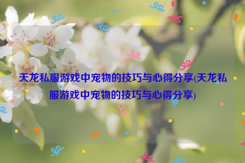 天龙私服游戏中宠物的技巧与心得分享(天龙私服游戏中宠物的技巧与心得分享)